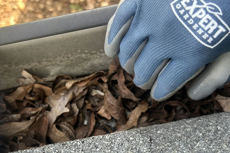 Gutter Cleaning Birmingham AL